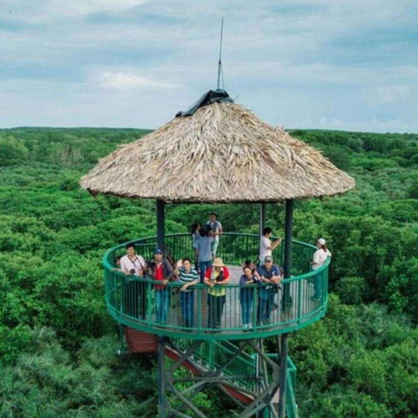 Ho Chi Minh: Can Gio Mangrove and Monkey Island - From District 1, 3, 4, or 7: Pickup Timing and Getting Out to Can Gio