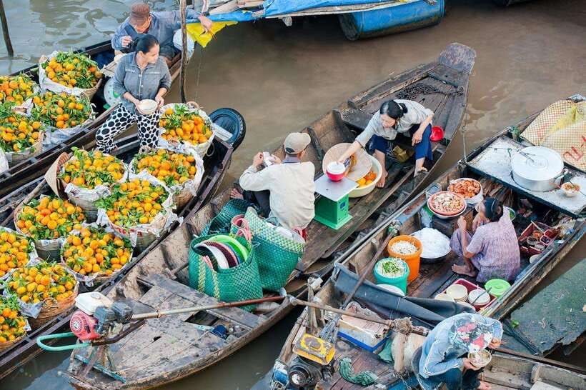 Ho Chi Minh City: Cai Rang Floating Market in Can Tho Tour - Snakehead fish performance and hands-on snacks