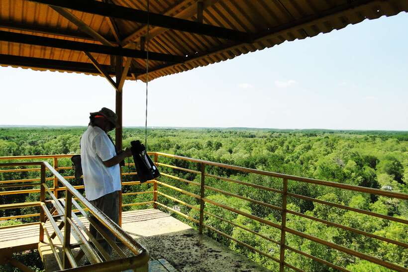 Ho Chi Minh City: Can Gio Eco Escape And Wildlife Discovery - Can Gio and Vàm Sát: Why this day trip feels different