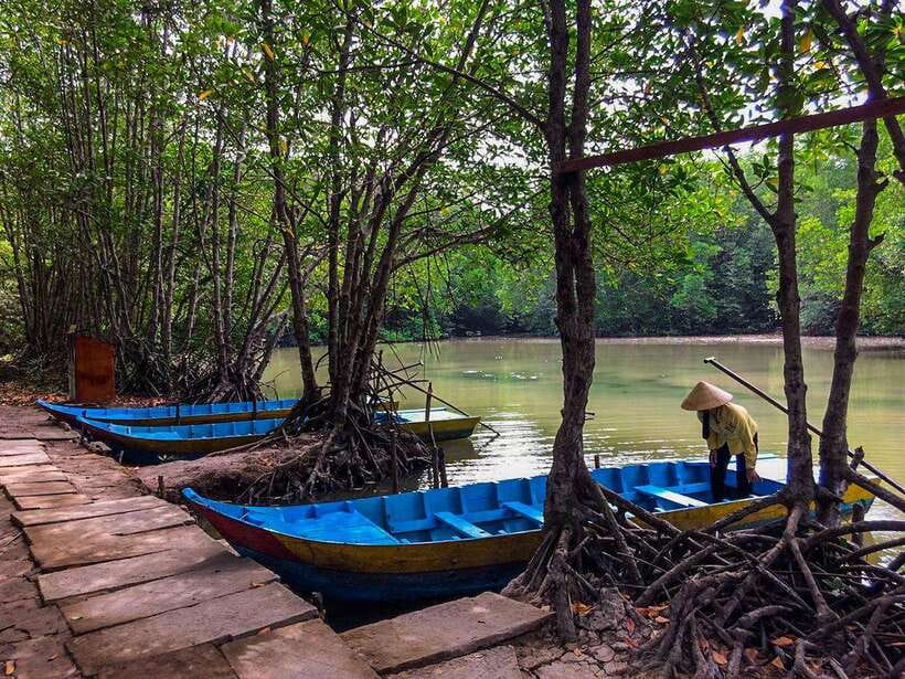 Ho Chi Minh City: Can Gio Eco Escape And Wildlife Discovery - Vàm Sát eco-tourist zone by boat: birds and the best-season timing