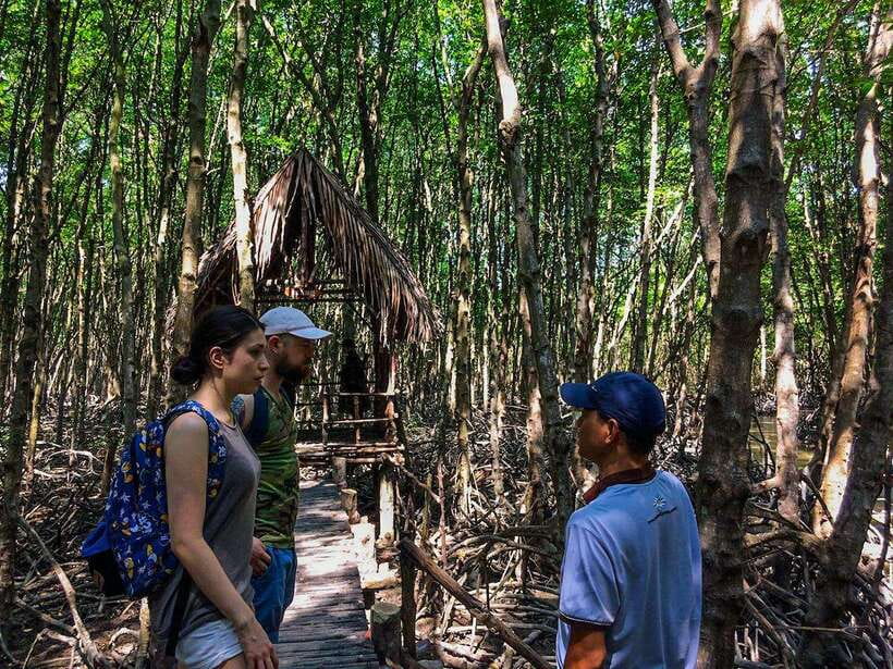 Ho Chi Minh City: Can Gio Eco Escape And Wildlife Discovery - Lunch in the eco zone: fuel and calm