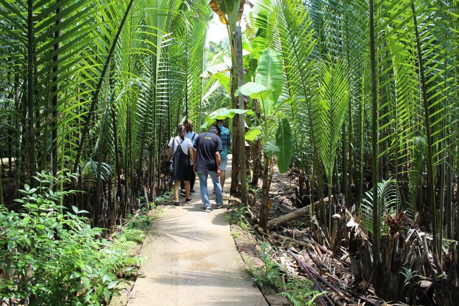 Ho Chi Minh City: Discover Mekong Delta & Coconut Village - Key Things I’d Bet on Before You Go