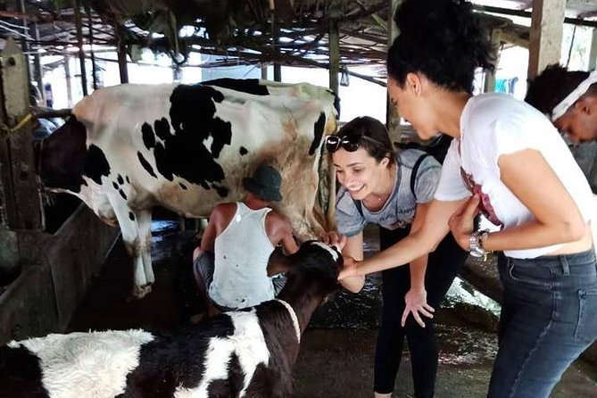 Ho Chi Minh City Full-Day Farm trip with Healthy Cooking Class - The farm visit: animals, gardens, and the nutrition lesson you can use later