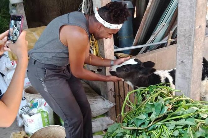 Ho Chi Minh City Full-Day Farm trip with Healthy Cooking Class - Certificates, recipes, and getting your kitchen to behave