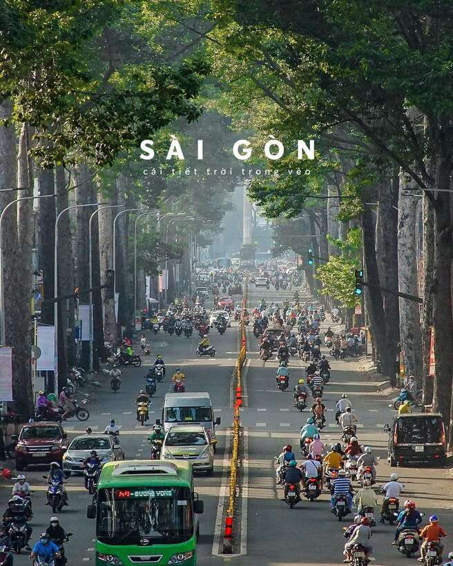 Ho Chi Minh City: Half-Day Guided City Tour - Group Size, Timing, and the Pace You’ll Feel