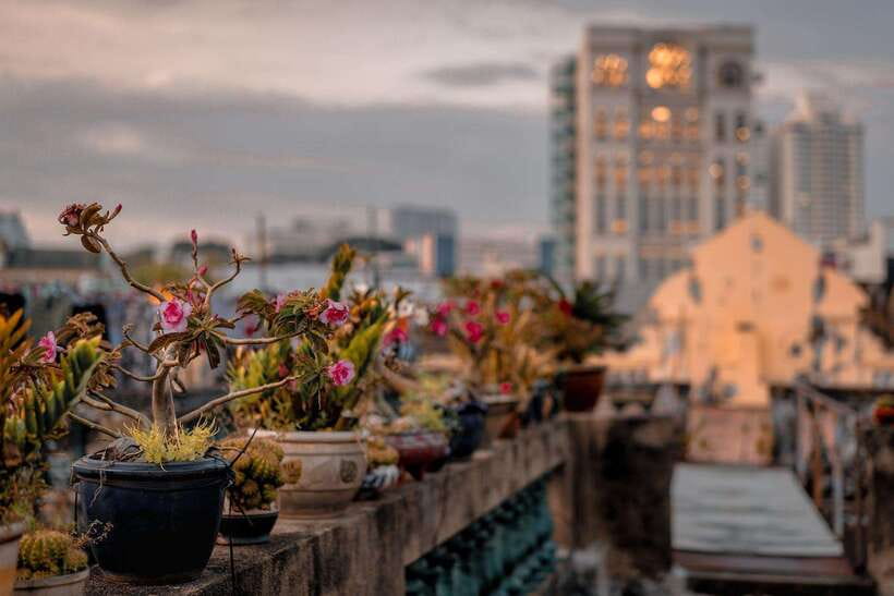 Ho Chi Minh City: Highlights & Hidden Gems Walking Tour - Finish on Ho Chi Minh City Book Street: A Calm Landing After the Noise