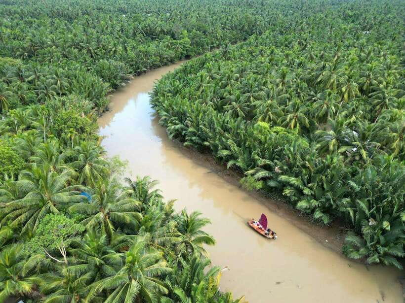 Ho Chi Minh City: Mekong Delta Day Trip with Lunch & Drinks - Motorbike country day: islands, fish farming, and sugarcane pauses