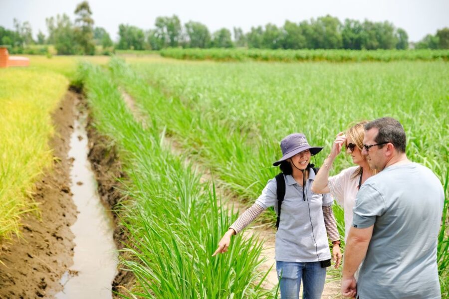 Ho Chi Minh City: Mekong Delta Full-Day Speedboat Tour - Homestead time: coconuts, Mekong whisky, and the local household view