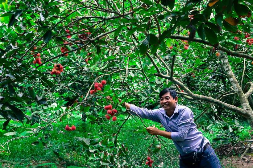 Ho Chi Minh City: Mekong Delta Tour with Sampan Journey - Price and Value: Why This $13 Mekong Delta Day Still Makes Sense