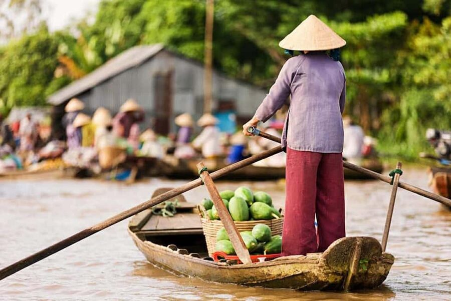 Ho Chi Minh Daily Tour: Full Day Mekong Delta (Private tour) - Key things I’d circle before you book