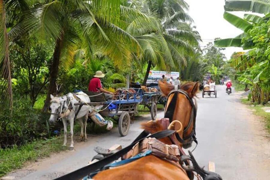 Ho Chi Minh Daily Tour: Full Day Mekong Delta (Private tour) - Who This Tour Suits Best (and Who Might Be Unhappy)