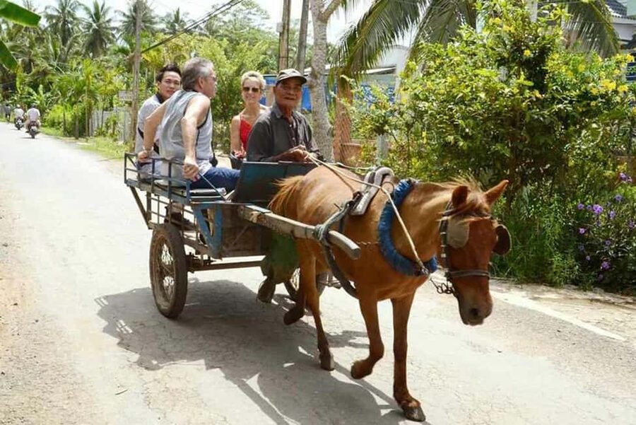 Ho Chi Minh Daily Tour: Full Day Mekong Delta (Private tour) - Lunch in the Mekong: Elephant Ear Fish at Midday