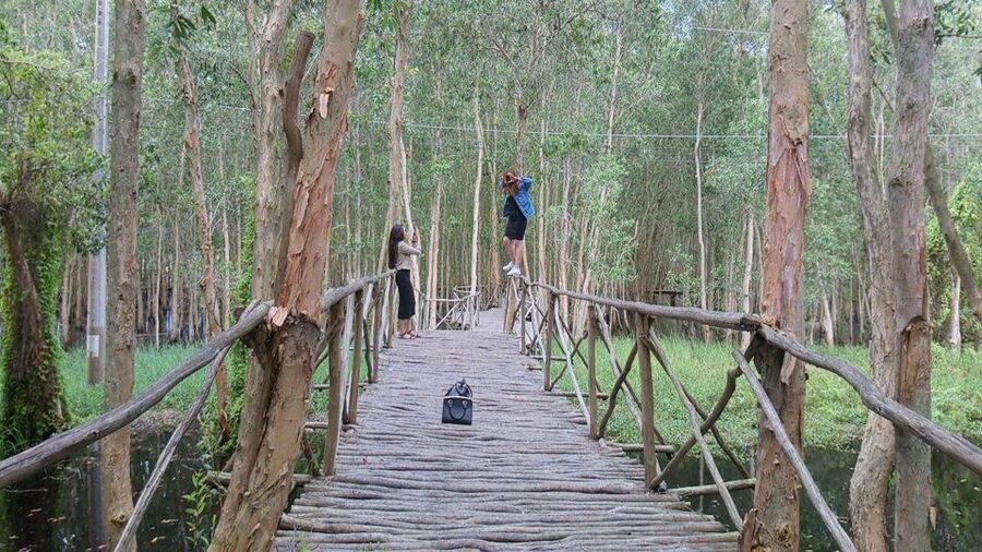 Ho Chi Minh: Private Can Gio Mangrove Forest Day Tour - Lunch at Carrot Restaurant around 1:00 PM