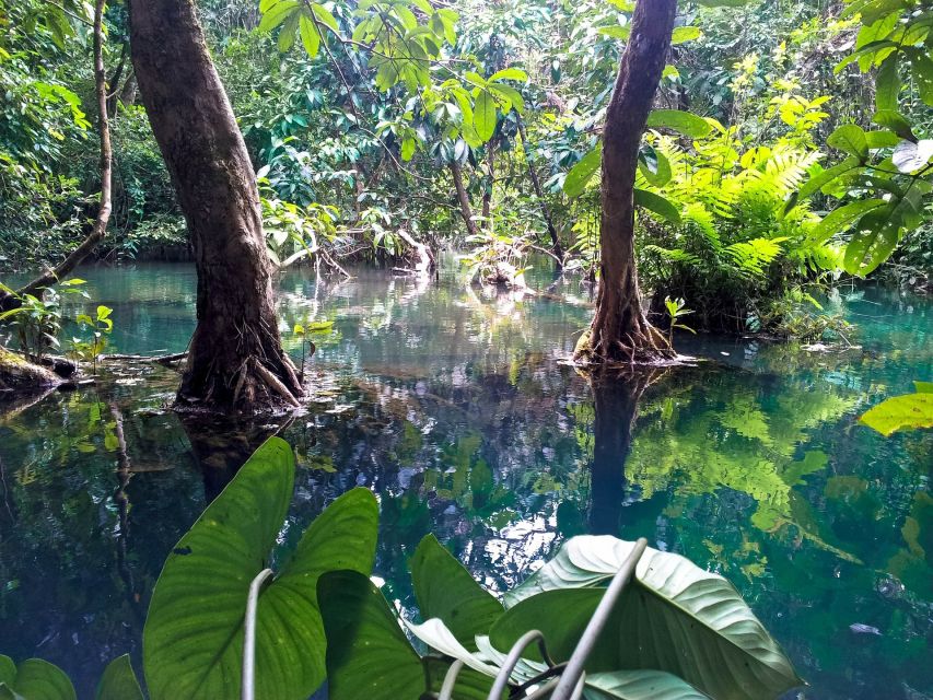 Ho Chi Minh: Private Can Gio Mangrove Forest Day Tour - Monkey Island at 2:30: seeing over 1,000 monkeys