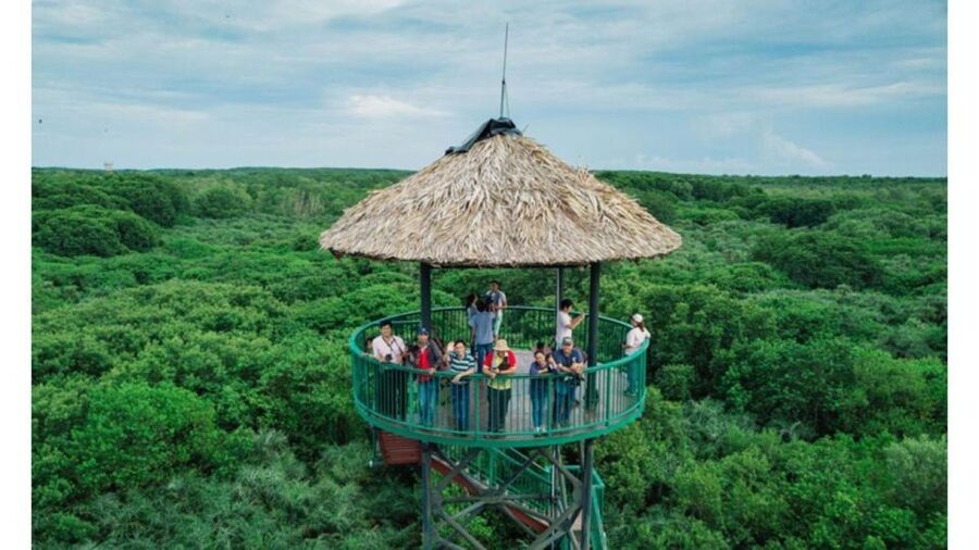 Ho Chi Minh: Private Can Gio Mangrove Forest Day Tour - First stop in Can Gio: mangrove forest time and riverbank life around 10:00