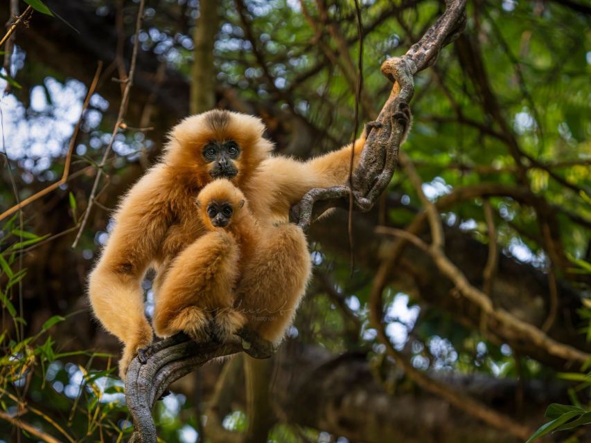 Ho Chi Minh to Cat Tien National Park – Dalat (3 days) - Wildlife spotting that stays real (and why the guide matters)