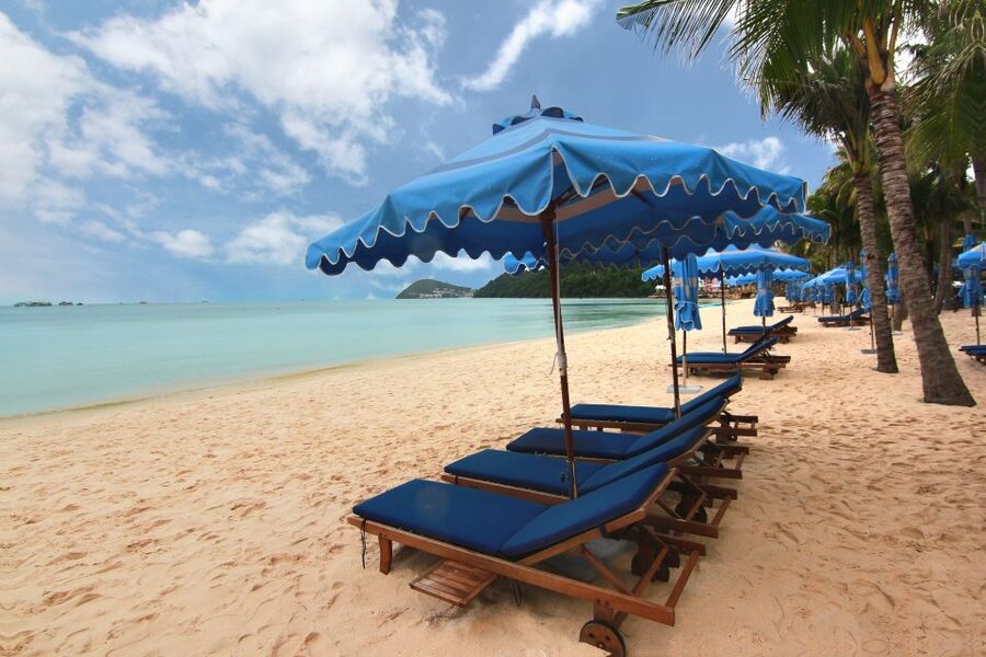 Ho Coc Beach, Nature Reserve & Dragon Fruit Farm Day Tour - Ho Coc Beach Time with Private Resort Access and Ocean Air