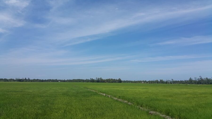 Ho Coc Beach, Nature Reserve & Dragon Fruit Farm Day Tour - Who Should Book This Tour (and Who Might Skip It)