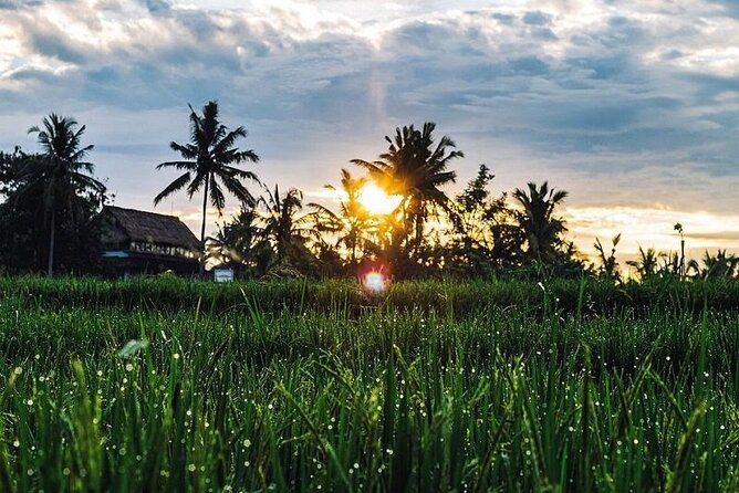 LUXURY Mekong 2 Days 1 Night SMALL GROUP Stay at Tiny Homestay with BBQ Dinner - Tiny Homestay Family Tiny Garden: how village life fills the evening