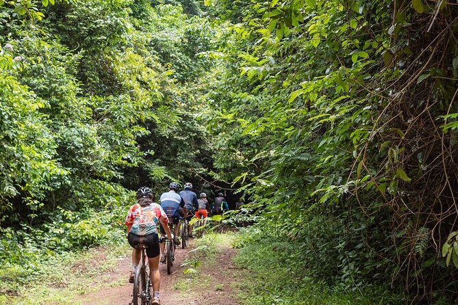 Ma Da Jungle Cycling Adventure - Key Things to Know Before You Pedal Ma Da Jungle