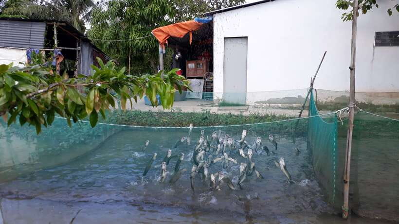 Mekong Day Tour by Car:Cai Be market, Local Island & Cycling - Who should book this Mekong day trip
