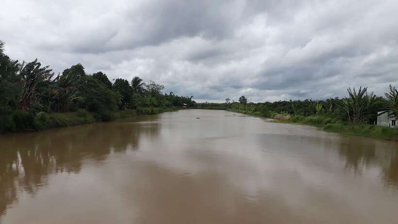 Mekong Day Tour by Car:Cai Be market, Local Island & Cycling - Lunch at a local house: the meal that slows the day down