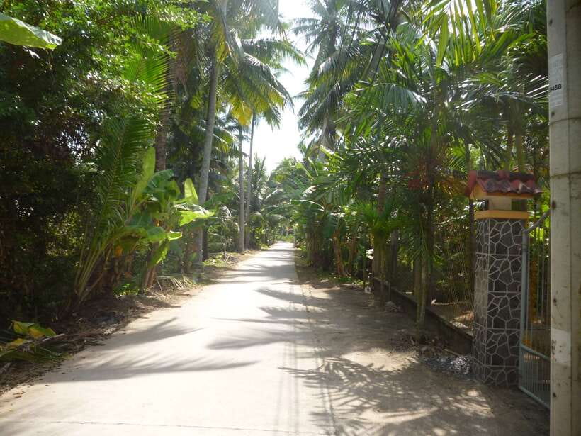 Mekong Day Tour by Car:Cai Be market, Local Island & Cycling - The 2-hour ride out of Ho Chi Minh City
