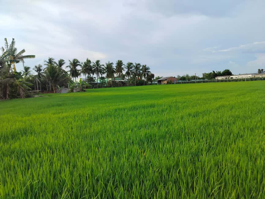 Mekong Day Trip Group 12pax Explore Bicycle & Cooking Class - From District 1 pickup to Bến Lức: how the day starts