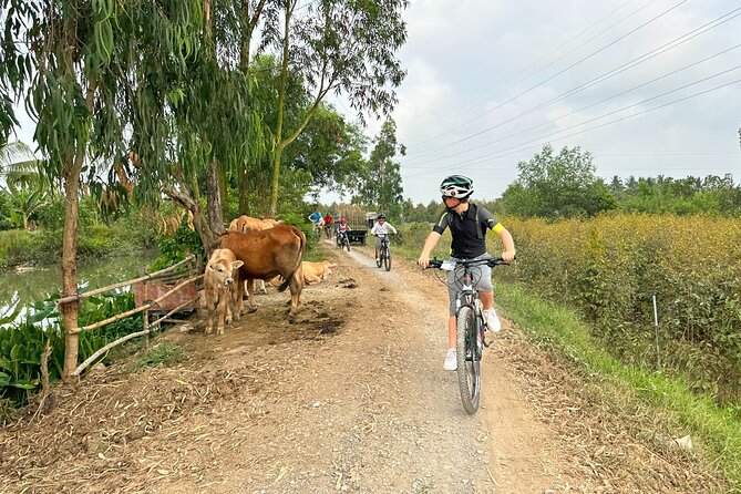 Mekong Delta 2 days 1 nights Cycling Trip - Price and Value: Why $341 Feels Reasonable