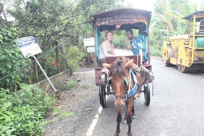 Mekong Delta Adventure by Private Car from Phu My Port - How Long Is Enough? The Value of an 8-Hour Mekong Day