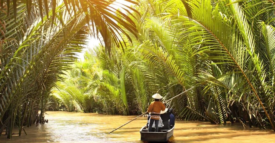 MeKong Delta Tour 1 Day - Rowing boats through narrow canals lined with coconut trees