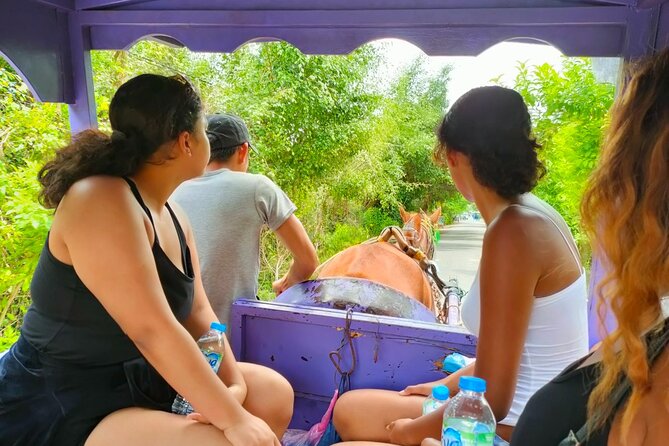 Mekong Delta Tour Daily - Getting to the Mekong Delta starts with Vinh Trang Pagoda