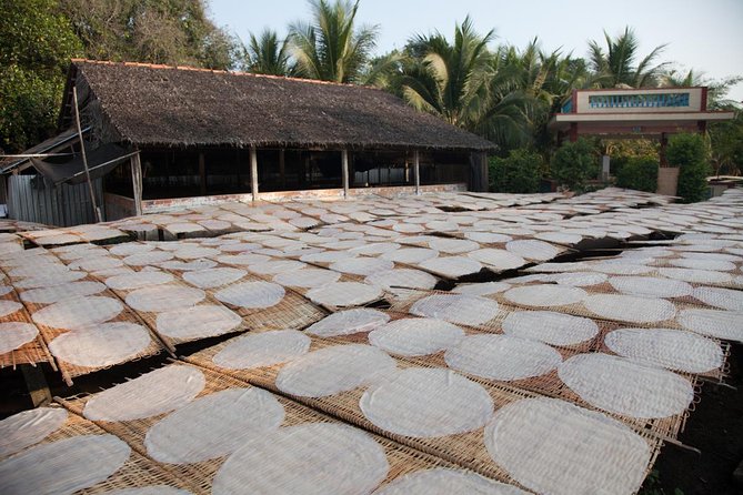 Mekong Delta Tour Full Day Cai Be-Vinh Long - Who This Mekong Delta Tour Suits Best