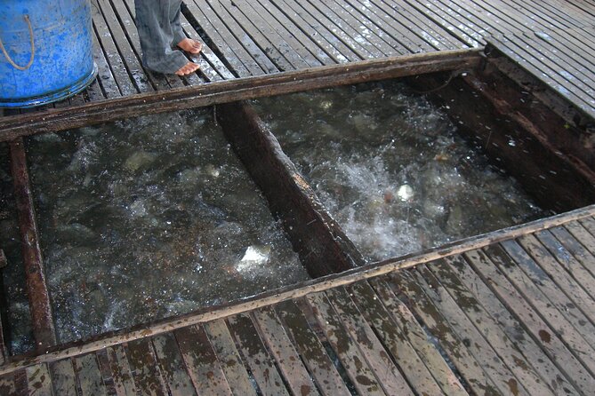 Mekong Delta Tours 3days - CaiBe Vinh Long ChauDoc CanTho - The guide is the difference between seeing and understanding