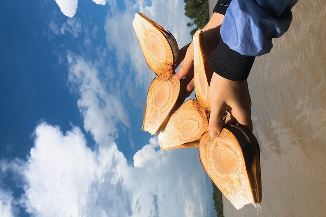 Mekong with biking private tour - Who this Mekong Delta bike tour fits best