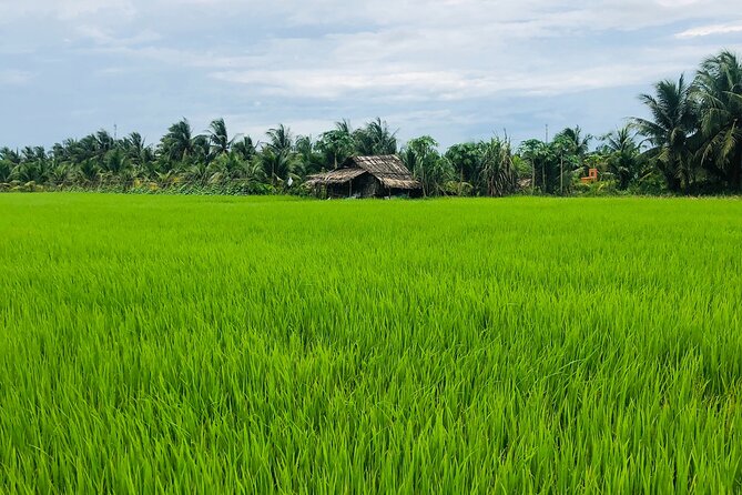 Mekong with biking private tour - The biking part: bamboo bridges, coconut forests, and quiet lanes