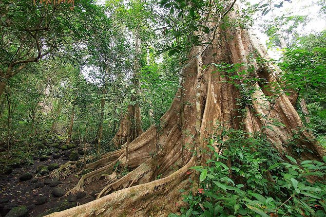 Nam Cat Tien National Park 2-Day Tour with Lodging, Meals.. - Key highlights that make this tour worth a look