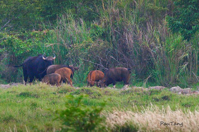 Nam Cat Tien National Park 2-Day Tour with Lodging, Meals.. - Cat Tien: a true reset from Ho Chi Minh City
