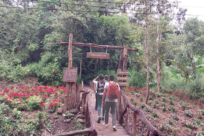 Nam Cat Tien National Park 2-Day Tour with Lodging, Meals.. - Night safari by jeep: exciting in theory, variable in practice