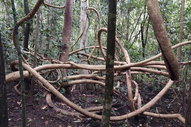 Nam Cat Tien National Park 2-Day Tour with Lodging, Meals.. - Meals and lodging: real comfort, not just survival