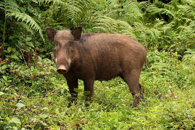 Nam Cat Tien National Park 2 Days 1 Night - Private Tour - Getting good value from $315: what you’re really paying for