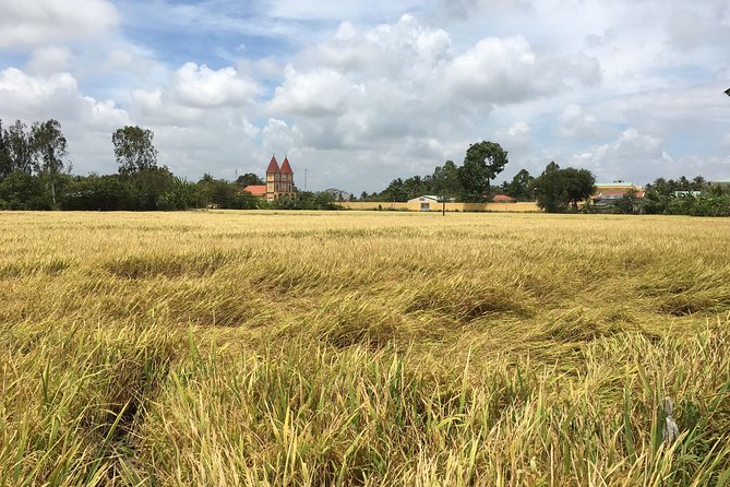 Private - An Authentic Mekong Local Version - Day Tour - Price and logistics: what $150 gets you (and what it doesn’t)