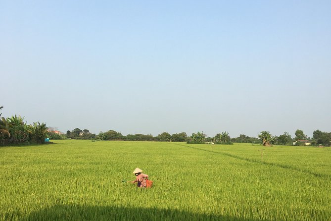 Private - An Authentic Mekong Local Version - Day Tour - Scooter ride through rice fields and dragon fruit plantations