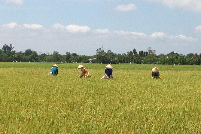 Private Authentic Mekong River Full Day Trip - Non Touristic Mekong delta - Pickup and the 8–10 Hour Reality Check