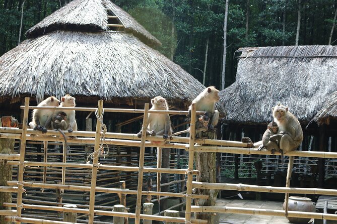 Private Can Gio Biosphere Reserve Day Trip from Ho Chi Minh City - Soft trek inside the mangrove forest: walking time that feels purposeful