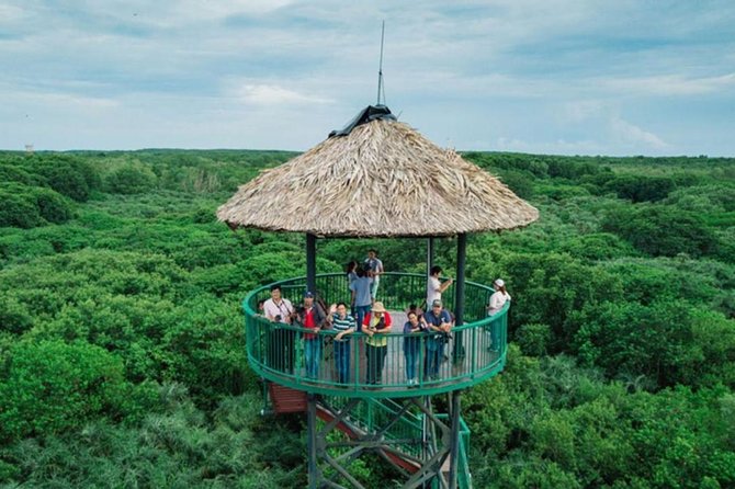 Private Can Gio Mangrove Eco Tour – Boat & Wildlife - Monkey Island and the crocodile farm: the wildlife stops that make the day