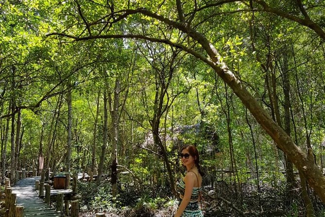 Private Can Gio Mangrove Eco Tour – Boat & Wildlife - Vam Sat canopy tower: see the mangroves from above