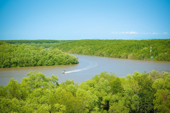 Private Can Gio Mangrove Eco Tour – Boat & Wildlife - How the Private Format Changes the Day (in Good and Bad Ways)