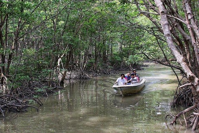 Private Can Gio Mangrove Eco Tour – Boat & Wildlife - Getting Picked Up in Ho Chi Minh City and Settling In