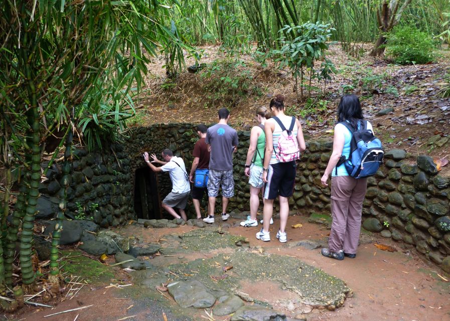 Private Cu Chi & Mekong Delta Tour: History Meets Nature - Cu Chi Tunnels: seeing survival logic, not just dark corridors
